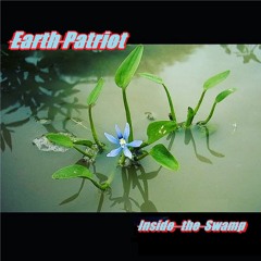 Inside the Swamp ( 2026 )