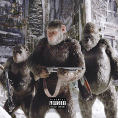 Jacks - Zoo (BBX6)