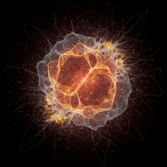 Zero Classical  Fast Violin