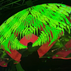 Encounters @ Astronox 2025