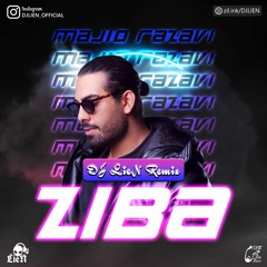 Majid Razavi - Ziba (DJ LieN Remix)