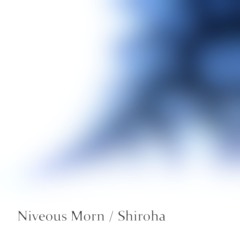 Niveous Morn / 白羽