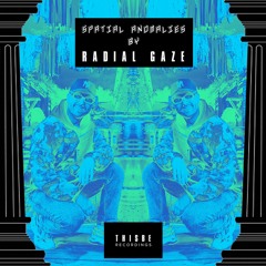 Radial Gaze - Spatial Anomalies - January 2023 Mixtape