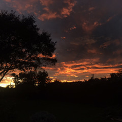 Forget Where We Were by Ben Howard// Cover by Tessa Valarie