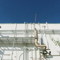 (𝐋𝐢𝐤𝐞 𝐇𝐨𝐧𝐞𝐲 𝐎𝐧 𝐁𝐞𝐞𝐬) - my vanity almost killed me