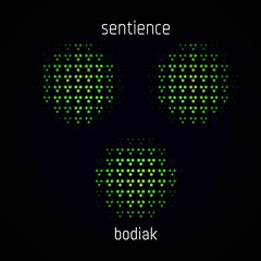 SENTIENCE (Trance Edit)