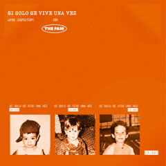 Si solo se vive una vez