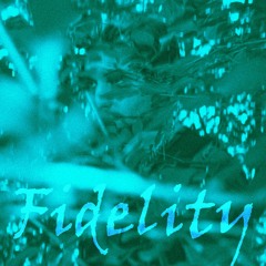 Fidelity