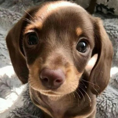 yo