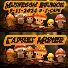 Mushroom Reunion - Dj L'apres Midize (9 - 11 - 2024)