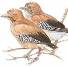 solo las cosas inacabadas están vivas