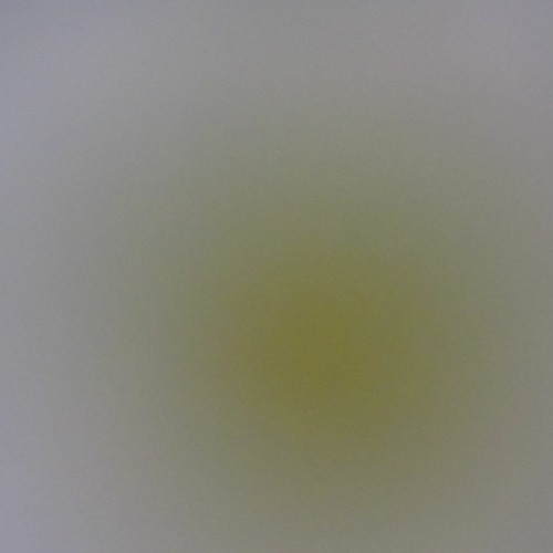 Marco Lucchi & Boson Spin (with some other friends too ..)