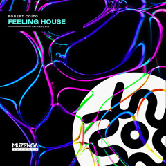 Robert Coito - Feeling House (Original Mix)