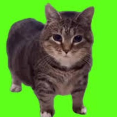 OIIA OIIA TECHNO REMIX