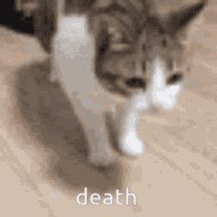 D.E.D