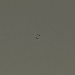Ceiling