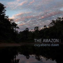 The Amazon: Cuyabeno Dawn - Album Sample
