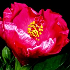 Las Diversas Formas Del Tiempo