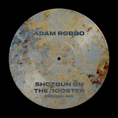 Adam Robbo - Shotgun On The Rooster (Original Mix) MASTER