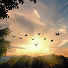 Beautiful Relaxing Music • Peaceful Piano, Cello & Guitar (2021)