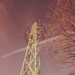 akrep