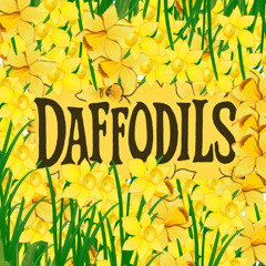 Daffodils