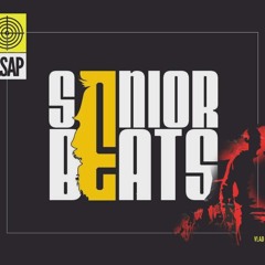 Deliric & Vlad Flueraru - ASAP ( Remix SeniorBeats )