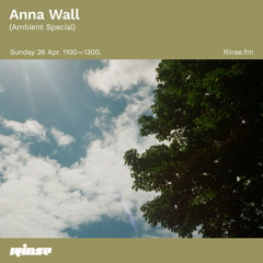 Anna Wall (Ambient Special) - 26 April 2020