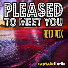 Captain Tinrib - Pleased to Meet You (Acid Mix)