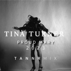 Tina Turner - Proud Mary (2023 TANNRmix)