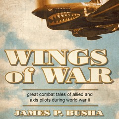 Wings of War by James P. Busha, Steve Hinton Read by Jeff Gurner - Audiobook Excerpt