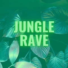 EDM Gym Workout // 21Apr25