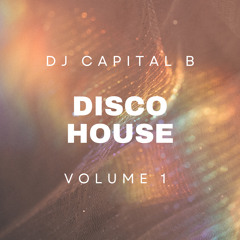 The Disco House Mix Vol. 1