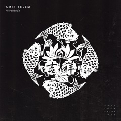 Amir Telem - Nityananda (Matan Caspi Remix) [Bull In A China Shop]