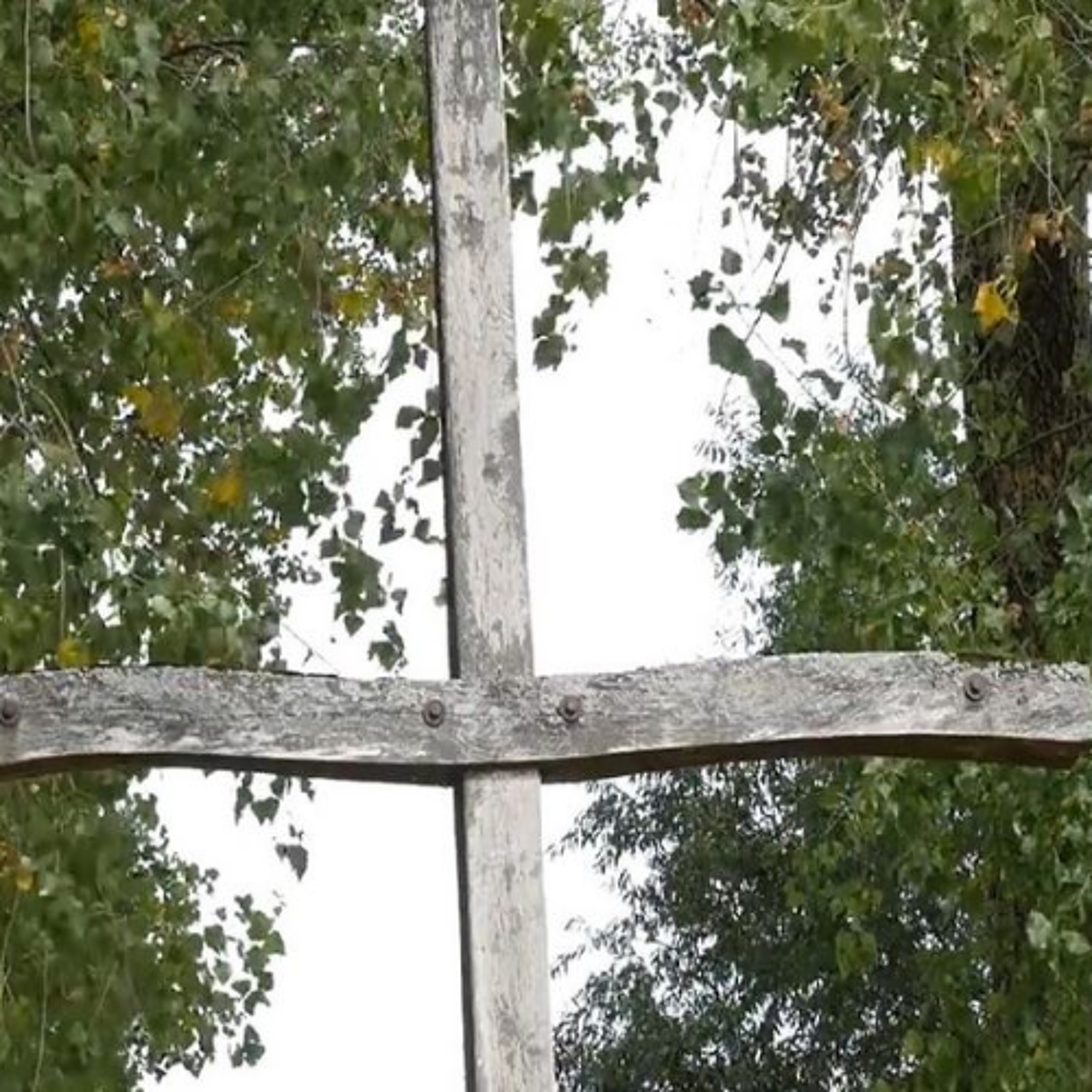 Schöpfungsgebet am Donauufer in Niederalteich episode artwork