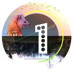 Radio mARTen Episode 1 -The Grid and Strata: time as code and technology of surface areas