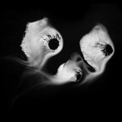 Entropics