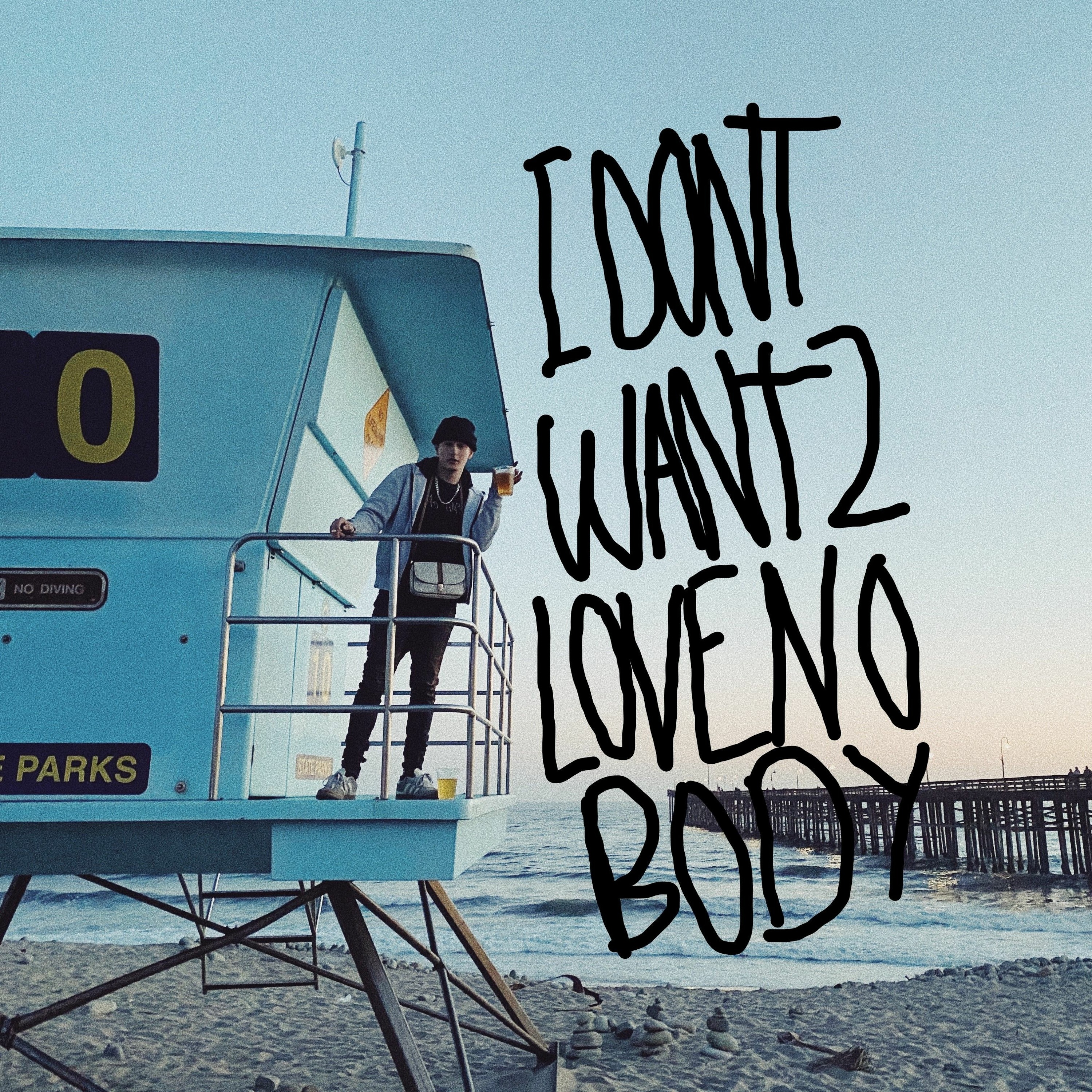 I DON’T WANT TO LOVE NOBODY feat. Nate Flud & BRUISER (prod. LIVEWRE) episode artwork