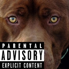Wild Dog Ft Ferndale Rd ( Beat by Ferndale Rd )