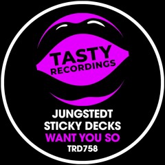 Jungstedt & Sticky Decks - Want You So (Radio Mix)