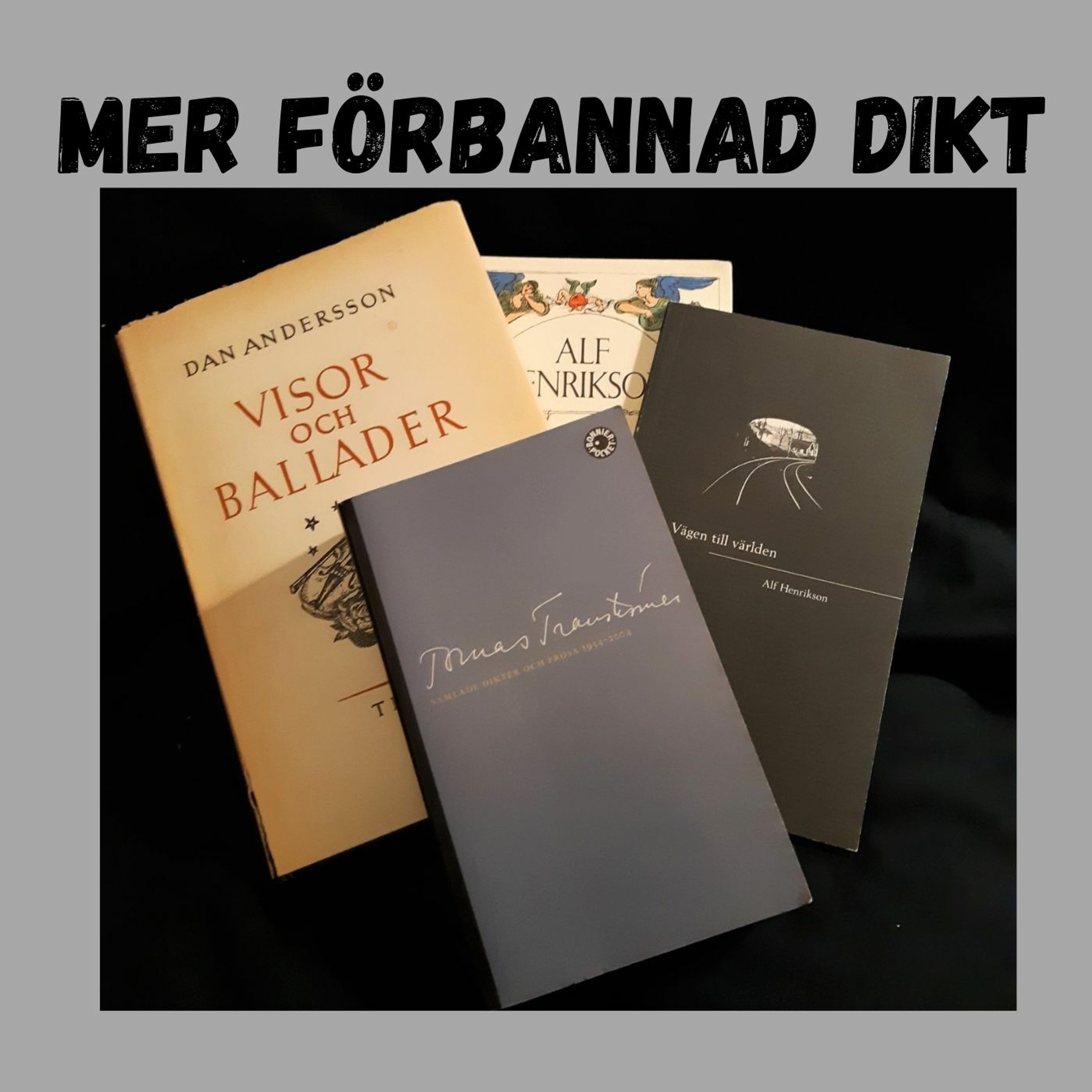 Mellan mörker och ljus