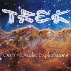 Organic Audio Explorations - DJ TREK LEWIS - Organic House Mix 2023-12-28