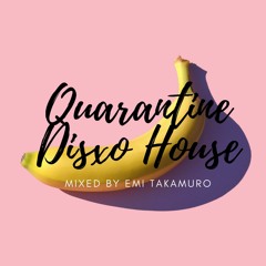 Quarantine Disco House