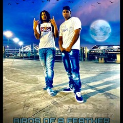 Birds of A Feather(feat. BMG BOCA)