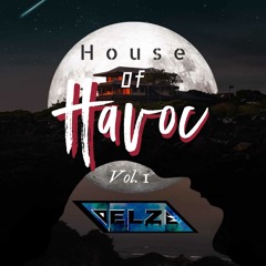 DELZE's House Of Havoc Vol.1