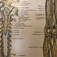 Proof of Concept (100% ORIGINAL MIX)