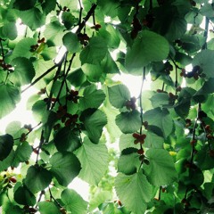 All My Life Long I Had Panted (with Jessica)