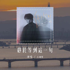 王靖雯 - 終於等到這一句「我終於等到你，這一句我不愛你」(可轉伴奏和人聲視頻)【動態歌詞/pīn yīn gē cí】#王靖雯 #終於等到這一句 #動態歌詞