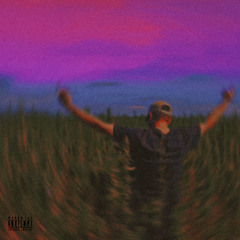 The Woods