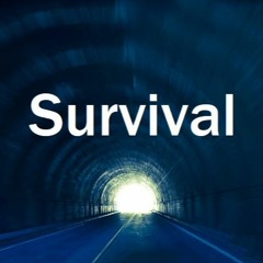 Survival  ----------------  SamplerRemix